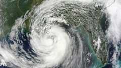 إلغاء 264 رحلة جوية في اليابان بسبب الإعصار "كانون"