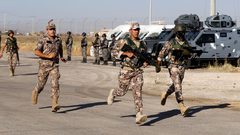 الجيش الأردني يعتقل "إسرائيليا" أثناء محاولته اجتياز الحدود