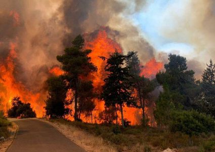 اغلاق شوارع بالجليل بسبب الحرائق