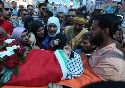 أبو قطيش: سلطات الاحتلال قتلت 37 طفلا منذ بداية العام الجاري