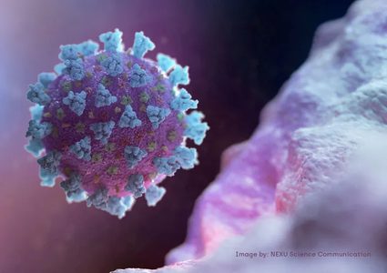 متحور كورونا الجديد.. ما تفاصيله واختلافه عن "اميكرون"