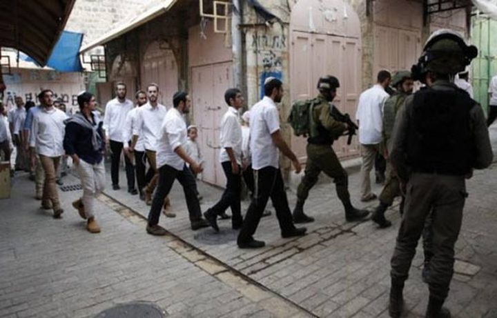مسيرة استفزازية للمستوطنين في البلدة القديمة من الخليل