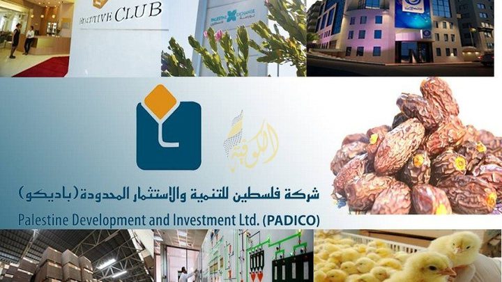 13.9 مليون دولار أرباح باديكو للنصف الأول من العام 2023