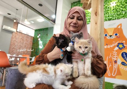 "مياو كافيه" أول كافيه من نوعه لمحبي القطط بغزة