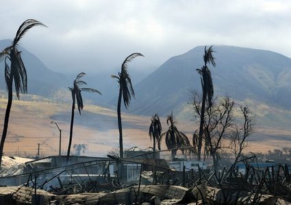 ارتفاع عدد قتلى الحرائق في هاواي إلى 110