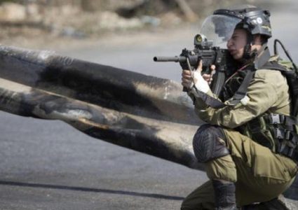 الاحتلال يصيب طفلا بالرصاص ويعتقله في سلوان