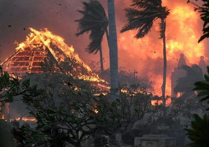 ارتفاع حصيلة قتلى حرائق الغابات في هاواي إلى 114 شخصا