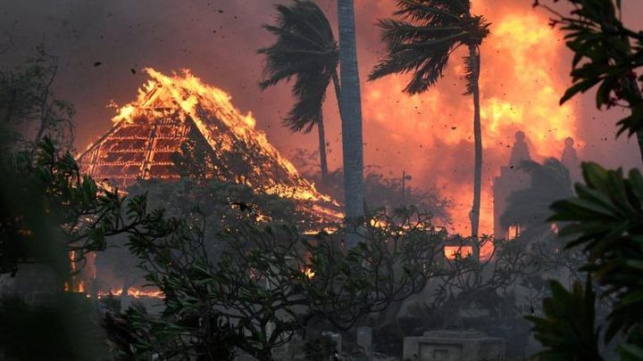 ارتفاع حصيلة قتلى حرائق الغابات في هاواي إلى 114 شخصا