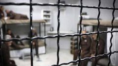 واشنطن: مؤسسات الجالية تعلن وقوفها ومساندتها لقضايا الأسرى الفلسطينيين