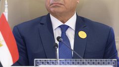 أكبر حزب في البرلمان المصري يدعم ترشح السيسي للرئاسة