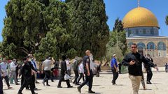 مستوطنون يقتحمون المسجد الأقصى من باب المغاربة