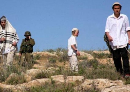 مستوطنون يمنعون الرعاة من الوصول للمراعي جنوب طوباس