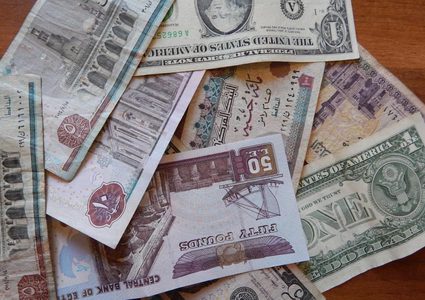 وزير مصري: انضمام مصر لمجموعة "بريكس" سيزيد قيمة الجنيه