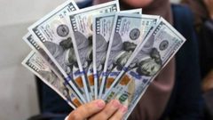 العملات: استقرار سعر صرف الدولار أمام الشيكل على ارتفاع