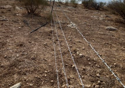 مستوطنون يعتدون على أحد الرعاة ويسيّجون طريقا ترابية في الأغوار