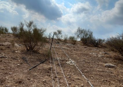 مستوطنون يعتدون على أحد الرعاة ويسيّجون طريقا ترابية في الأغوار