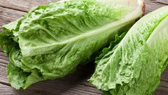 اضرار الافراط في تناول الخس منها مشاكل الجهاز الهضمى