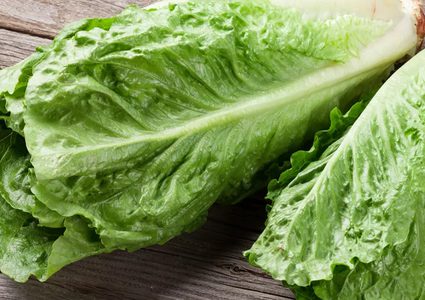 اضرار الافراط في تناول الخس منها مشاكل الجهاز الهضمى