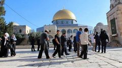 مستوطنون يقتحمون "الأقصى"