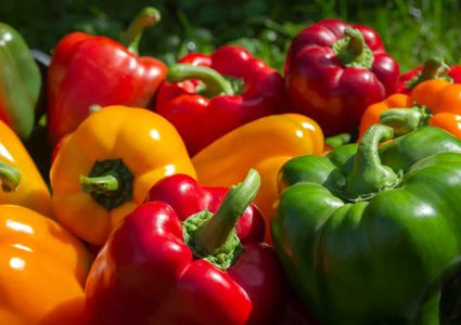 الفلفل الحلو: أفضل مصادر فيتامين سي وفوائد مذهلة أخرى