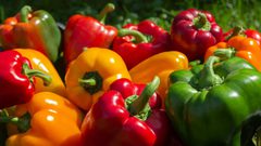 الفلفل الحلو: أفضل مصادر فيتامين سي وفوائد مذهلة أخرى