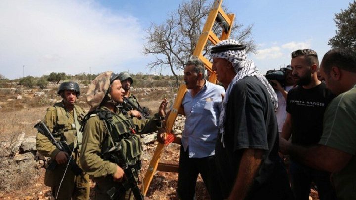 طولكرم : الاحتلال يمنع المزارعين من الوصول إلى أراضيهم لليوم الثامن