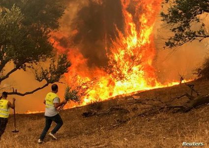 تجدد الحرائق في غابات شرق الجزائر