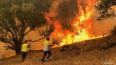 تجدد الحرائق في غابات شرق الجزائر
