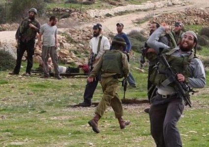 مستوطنون يحاولون الاستيلاء على 50 دونما في مسافر يطا جنوب الخليل