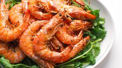 الجمبري يساعد في تطوير علاج مناعي للسرطان