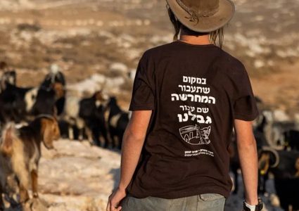 مستوطنون يمنعون الرعاة من الوصول إلى مراعيهم في خلة مكحول