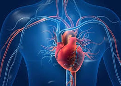 أعراض تحذر من أمراض القلب