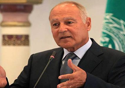 أبو الغيط يدعو الدول الإفريقية لتوسيع رقعة الاعتراف بالدولة الفلسطينية