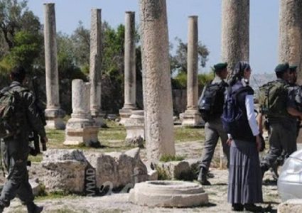 قوات الاحتلال تقتحم المنطقة الأثرية في سبسطية