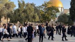 اقتحامات واسعة من قبل المستوطنين للمسجد الأقصى