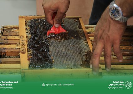بالصور.. إنتاج العسل الطبيعي من مناحل كلية الزراعة والطب البيطري