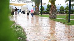 بالفيديو.. ماذا أجاب طلبة كلية الفنون حول معرفتهم عن "سرطان الثدي"؟