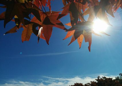 الطقس: أجواء خريفية والحرارة أقل من معدلها العام بقليل