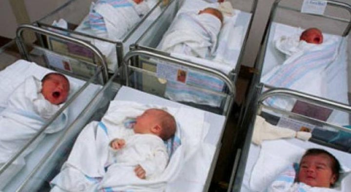 قطاع غزة يُسجل قرابة 15 ألف مولود خلال الربع الثالث من 2023