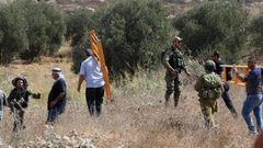 مستوطنون يهاجمون قاطفي الزيتون في يانون جنوب نابلس