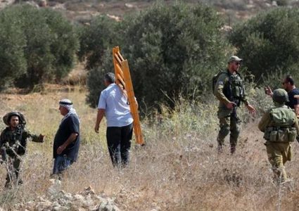 مستوطنون يهاجمون قاطفي الزيتون في يانون جنوب نابلس