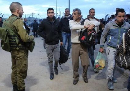 وزيرة الصحة: توفير العلاج اللازم لعمال غزة مجانًا ودون تأمين