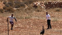 مستوطنون يهاجمون منزلا ويقطعون أشجارا مثمرة ويتلفون خزانات مياه بمسافر يطا