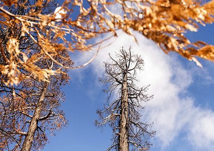 حالة الطقس: أجواء خريفية ودرجات حرارة معتدلة