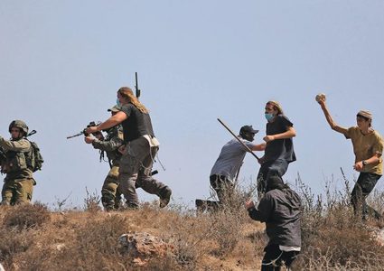 مستوطنون يهدمون غرفتين زراعيتين ويقتلعون أشجارا مثمرة بمسافر يطا