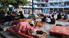 الأمم المتحدة تحذّر من انعدام الأمن الغذائي للنازحين في غزة