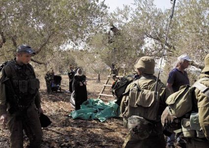 الاحتلال يمنع المزارعين من قطف ثمار الزيتون جنوب نابلس