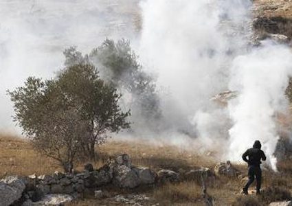 مستوطنون يقتحمون جبل العرمة في بيتا جنوب نابلس