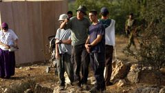 مستوطنون يهاجمون قاطفي الزيتون في أراضي برقة شمال غرب نابلس