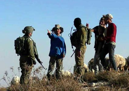 مستوطنون يقتحمون خربة الفارسية في الاغوار